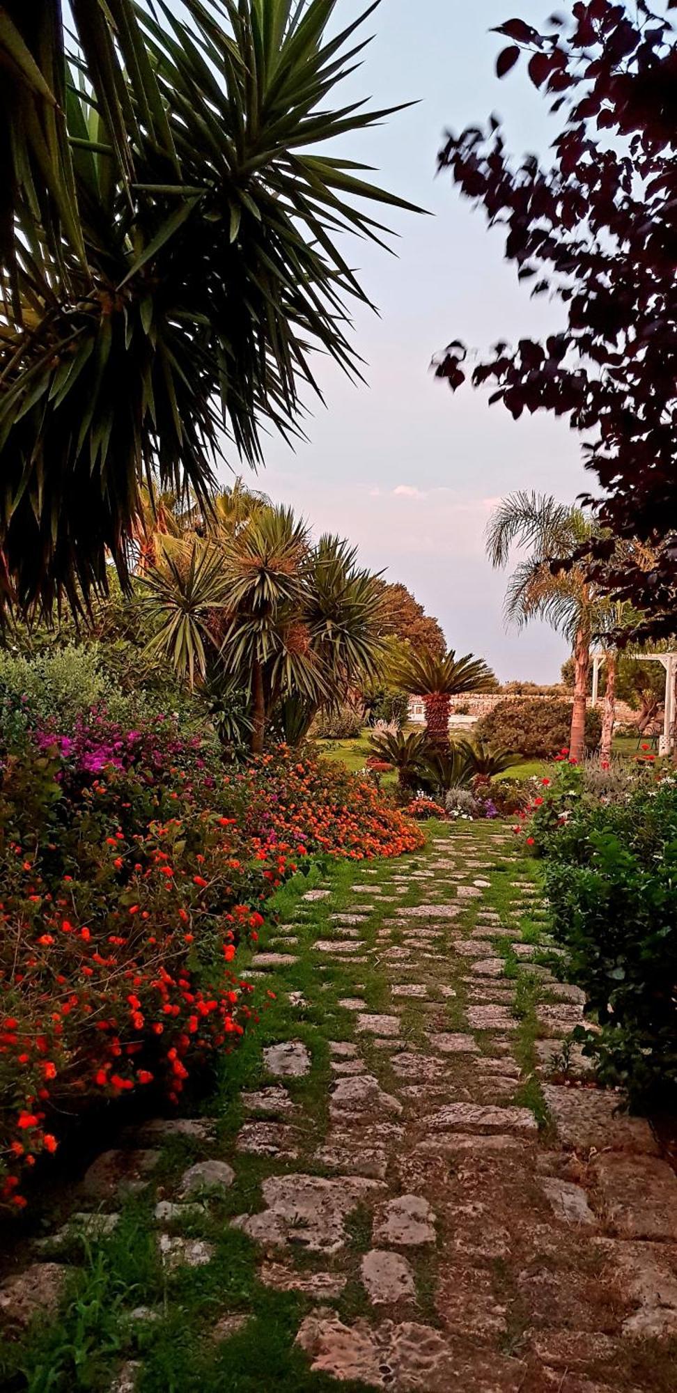 Masseria Boezio Ostuni Bed & Breakfast Torre Santa Sabina Exterior photo
