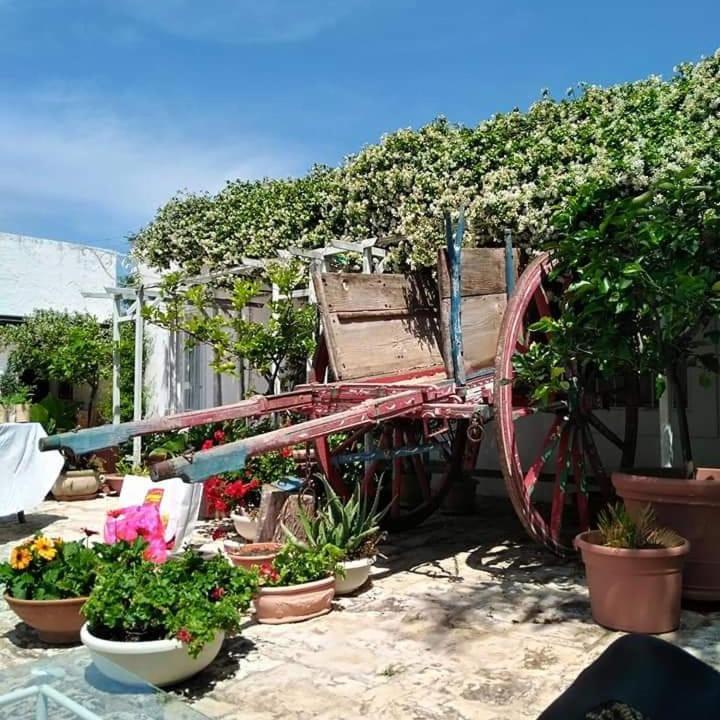 Masseria Boezio Ostuni Bed & Breakfast Torre Santa Sabina Exterior photo
