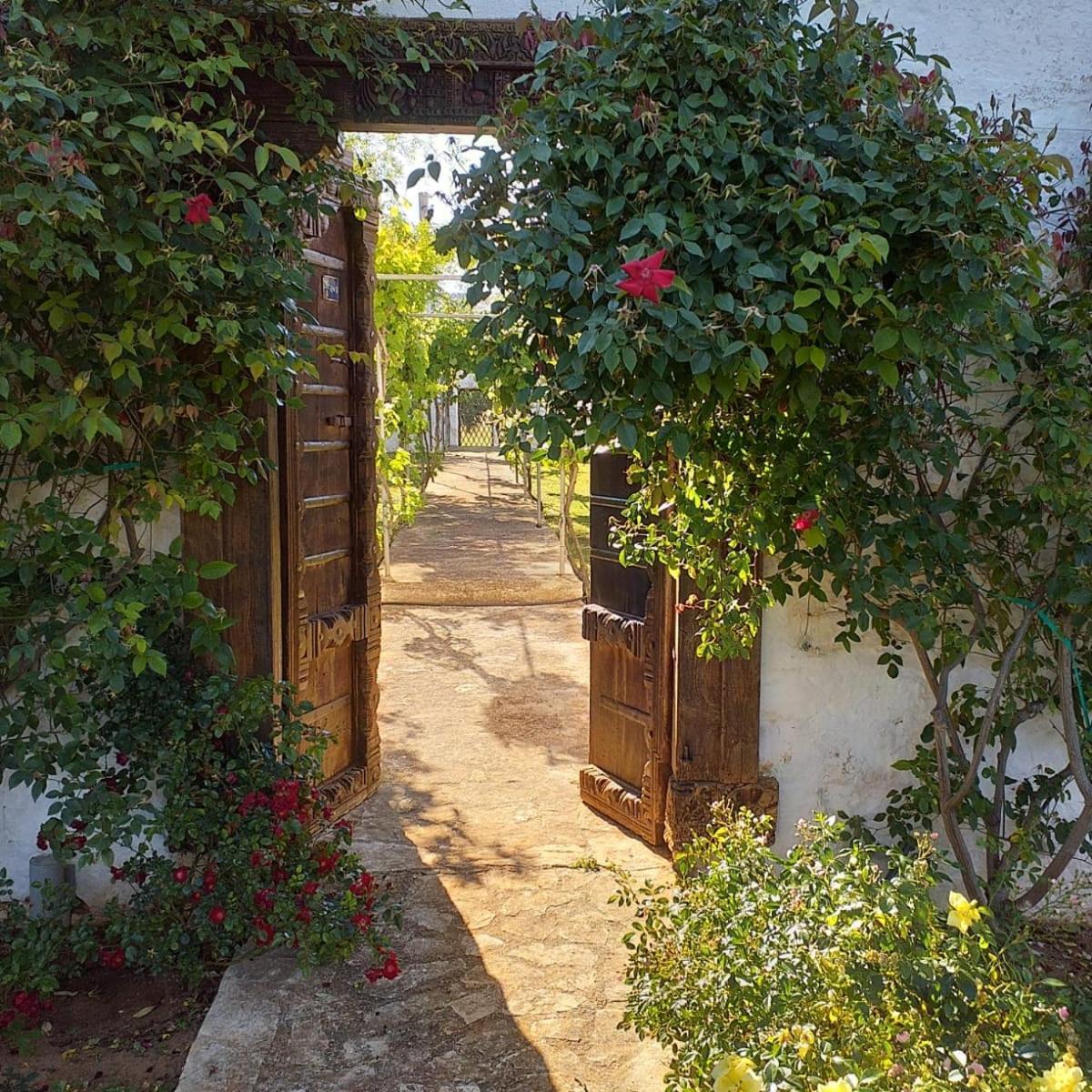 Masseria Boezio Ostuni Bed & Breakfast Torre Santa Sabina Exterior photo