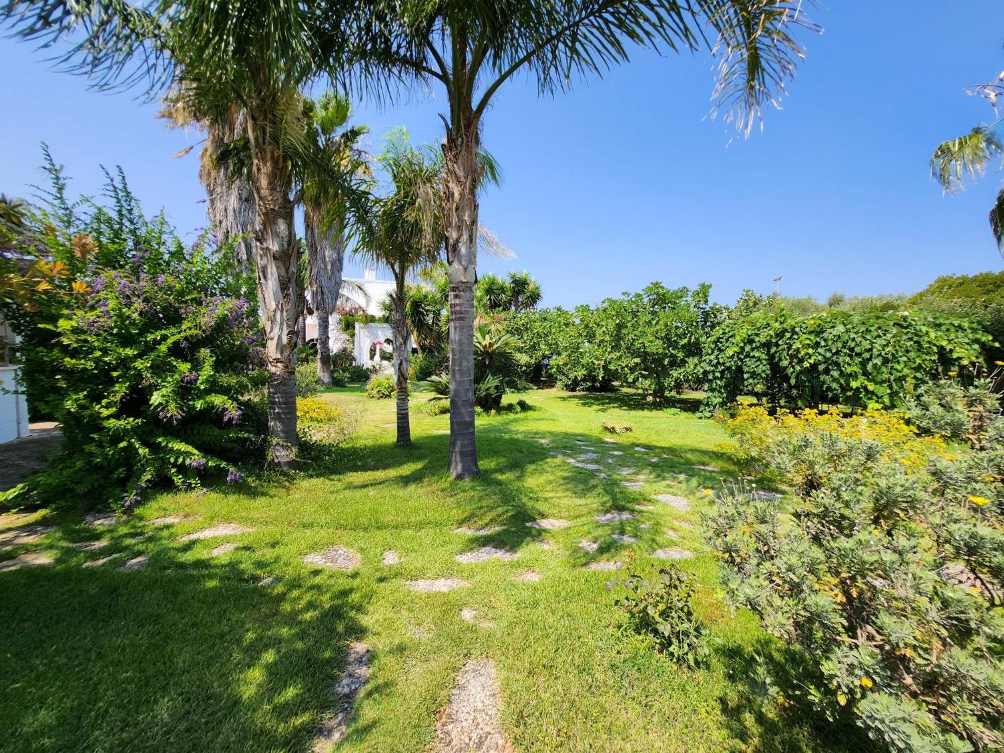 Masseria Boezio Ostuni Bed & Breakfast Torre Santa Sabina Exterior photo