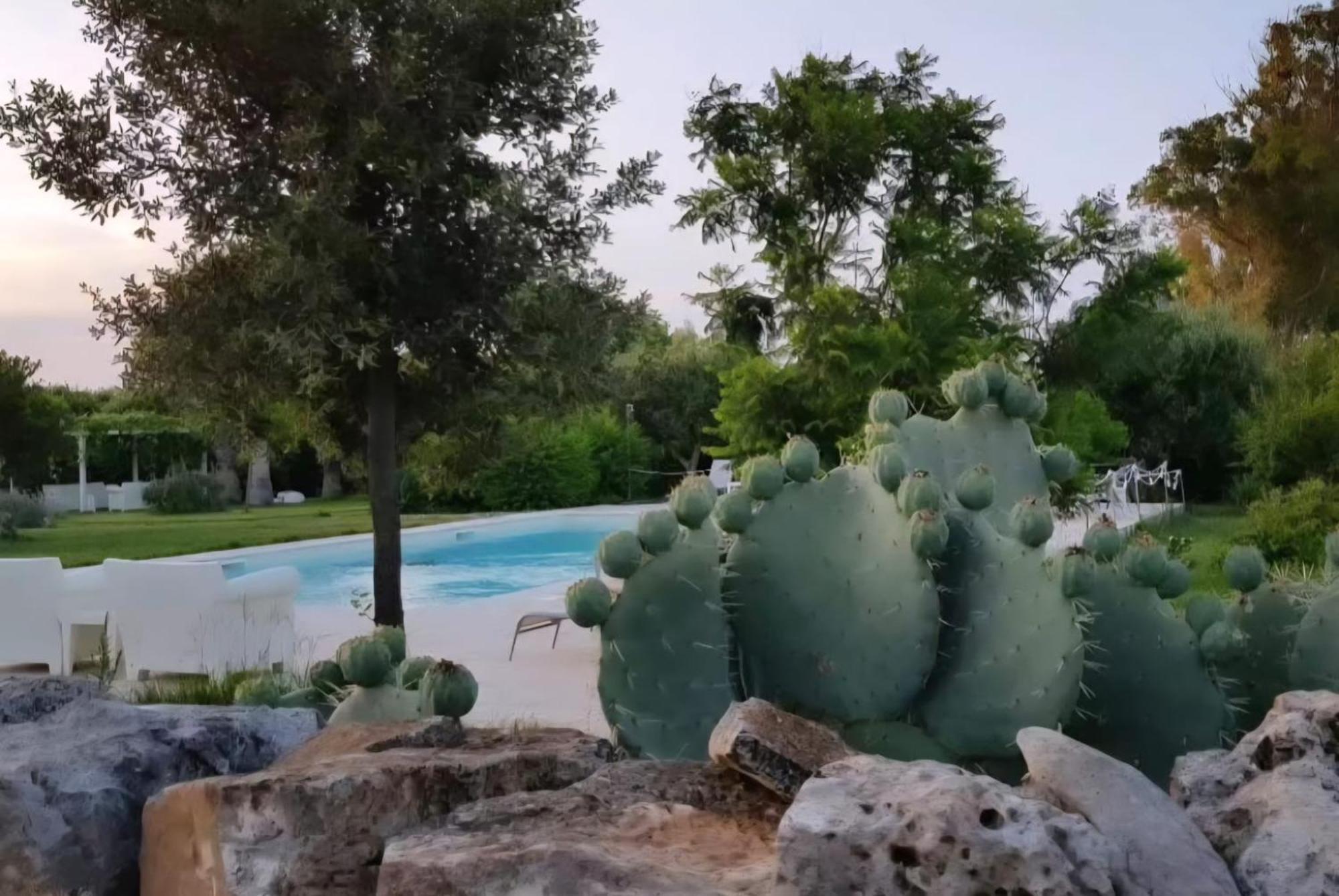 Masseria Boezio Ostuni Bed & Breakfast Torre Santa Sabina Exterior photo